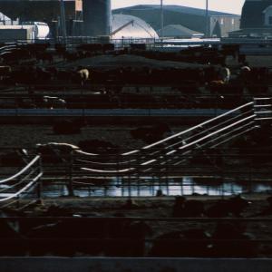 收聽Supercollider的Don’t Come Home歌詞歌曲