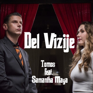 Album Del vizije from Tomos