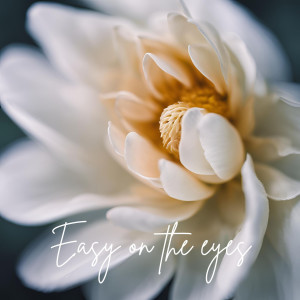 อัลบัม Easy on the Eyes ศิลปิน Lugo