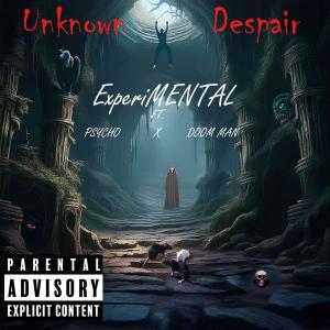 อัลบัม UNKNOWN DESPAIR (Explicit) ศิลปิน Experimental