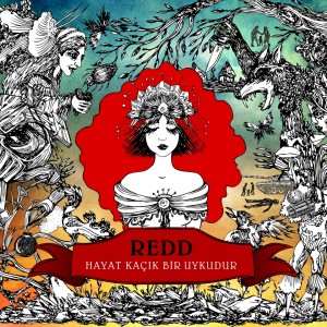 Album Hayat Kaçık Bir Uykudur from 