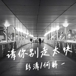 Album 请你别走太快 from 
