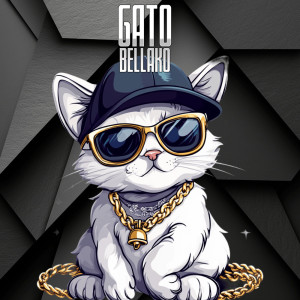 Listen to GATO BELLAKO (Explicit) song with lyrics from Starboooy.