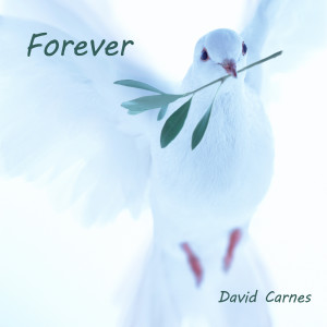 David Carnes的專輯Forever