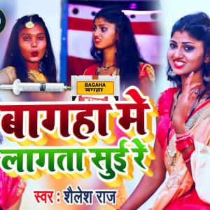Listen to Bagaha me lagta suei re song with lyrics from Shailesh Raj