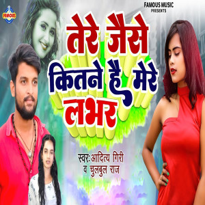 Album Tere Jaise Kitne Hai Mere Lover from Aditya Giri