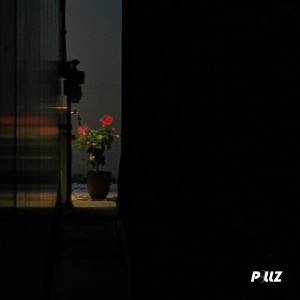 Album 暗花 oleh Demon-K