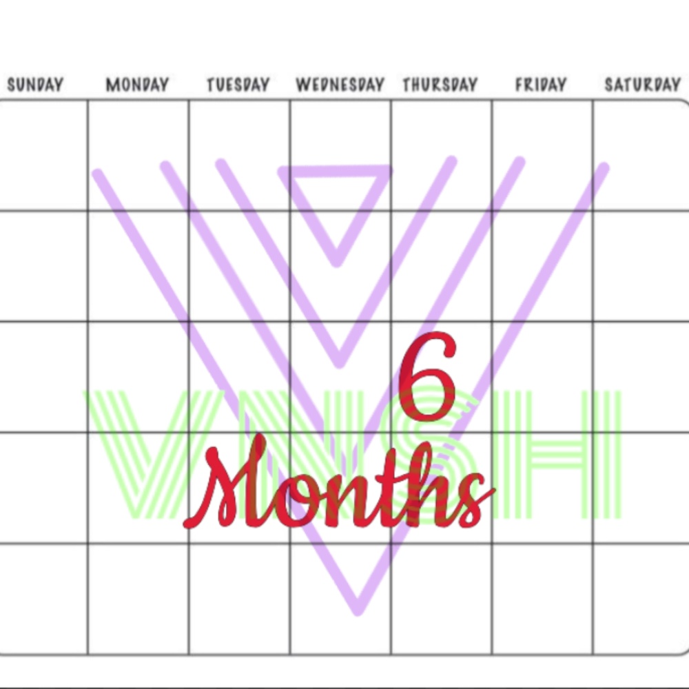6 Months (Explicit)
