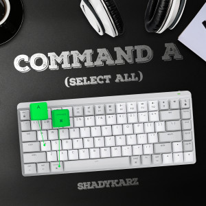 Listen to Command a (Select All) song with lyrics from ShadyKarz