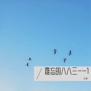 Listen to 难忘的八八三--2 (完整版) song with lyrics from 王君