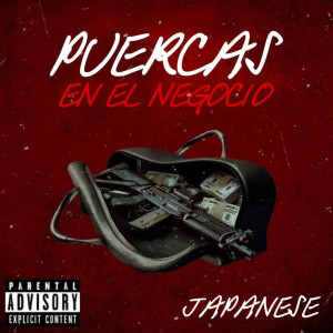 Album Puercas En El Negocio (Explicit) from 