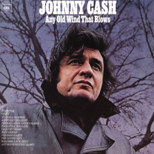 ดาวน์โหลดและฟังเพลง Best Friend พร้อมเนื้อเพลงจาก Johnny Cash