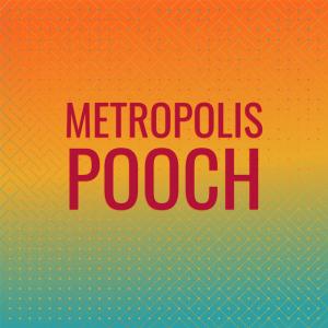 อัลบัม Metropolis Pooch ศิลปิน Various