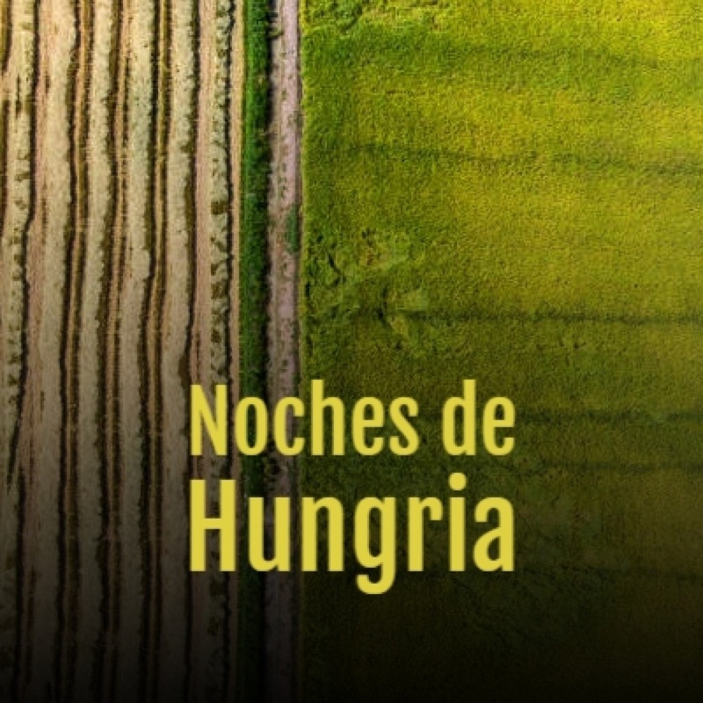 La Cancion Del Soltero
