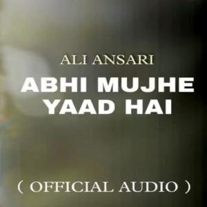 收聽Desi Gang Music的Abhi Mujhe Yaad Hai Kingo Ali Ansari (Explicit)歌詞歌曲