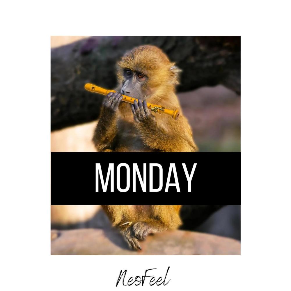 MONDAY