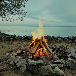 Dengarkan lagu V-I-O-L-E-T nyanyian Daddison dengan lirik