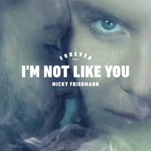 Listen to I'm Not Like You song with lyrics from Micky Friedmann