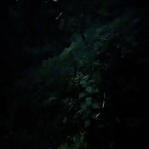 收听Kende的Onlyfans歌词歌曲