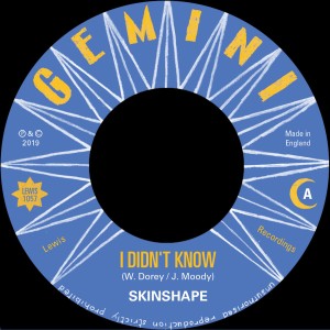 ดาวน์โหลดและฟังเพลง I Didn't Know (Dub Version) พร้อมเนื้อเพลงจาก Skinshape