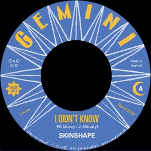 อัลบัม I Didn't Know (Extended Mix) ศิลปิน Skinshape