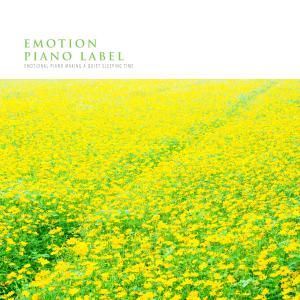 Dengarkan A Melody Of A Calm Night lagu dari Aroma Love dengan lirik