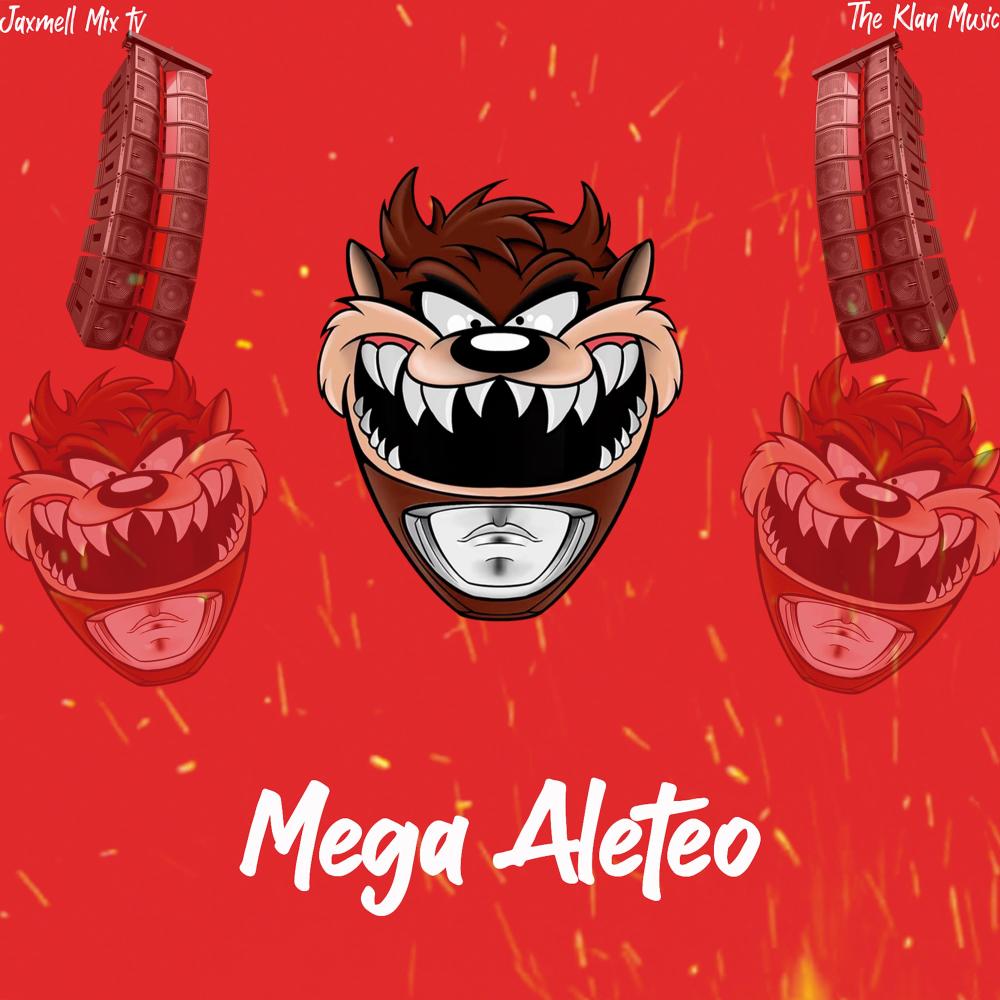 Mega Aleteo 24