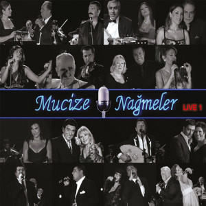 收聽Gülşen的İçin İçin Yanıyor (Live)歌詞歌曲