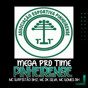 Listen to Mega Pro Time Pinheirense song with lyrics from MC Surfistão BHz