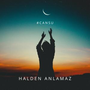 Album Halden Anlamaz (Remix) oleh Mehmet Canlı