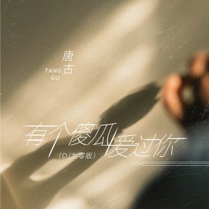 Album 有个傻瓜爱过你(DJ九零版) from 唐古