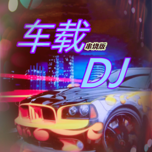 收聽郝鴿音樂頻道的【車載DJ串燒】VOL 054DJ - 冰河時代 (DJ版)+DJ - 動感勁爆的士高嗨曲歌詞歌曲