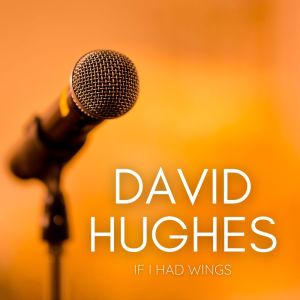 Album If I Had Wings from David Hughes