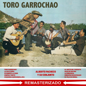 Alberto Pacheco的專輯Toro garrochao