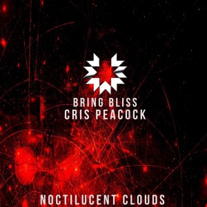 อัลบัม Noctilucent Clouds (Dub Mix) ศิลปิน Bring Bliss