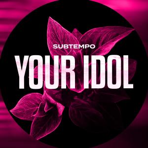 Listen to YOUR IDOL (DnB) song with lyrics from Subtempo