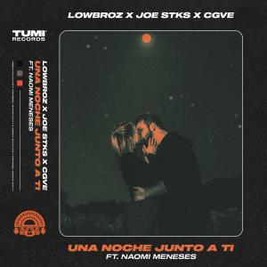 ดาวน์โหลดและฟังเพลง Una Noche Junto A Ti(feat. Naomi Meneses) พร้อมเนื้อเพลงจาก LowBroz