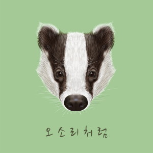 Album Like a badger from 미식가요