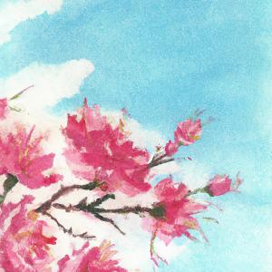 Listen to Flower song with lyrics from noteaf