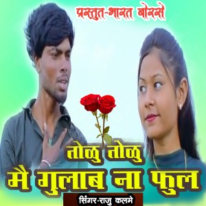 Listen to Todu Todu Mai Gulabna Ful song with lyrics from Raju Kalame
