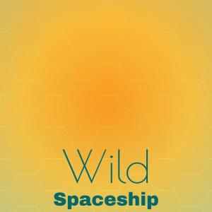 Wild Spaceship dari Various