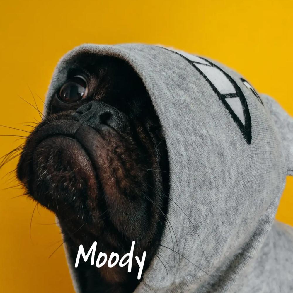 Moody (feat. Kideko, TCTS & Just Kiddin) (Explicit)