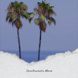 ดาวน์โหลดและฟังเพลง Unenthusiastic Moose พร้อมเนื้อเพลงจาก Unna Puly