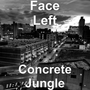 Dengarkan Fast Lane (Explicit) lagu dari FaceLeft dengan lirik