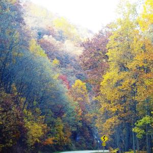 Album Life Country from David Hannah