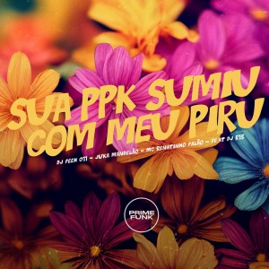 DJ Feeh 011的专辑Sua Ppk Sumiu Com Meu Piru (Explicit)