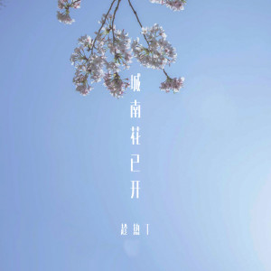 Listen to 城南花已开 (伴奏) song with lyrics from 趁热T