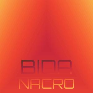 Various Artists的專輯Bida Nacro