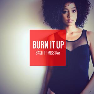 Album Burn It Up (feat. Miss Kay) from 