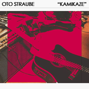 Dengarkan Vida Confusa lagu dari Oto Straube dengan lirik